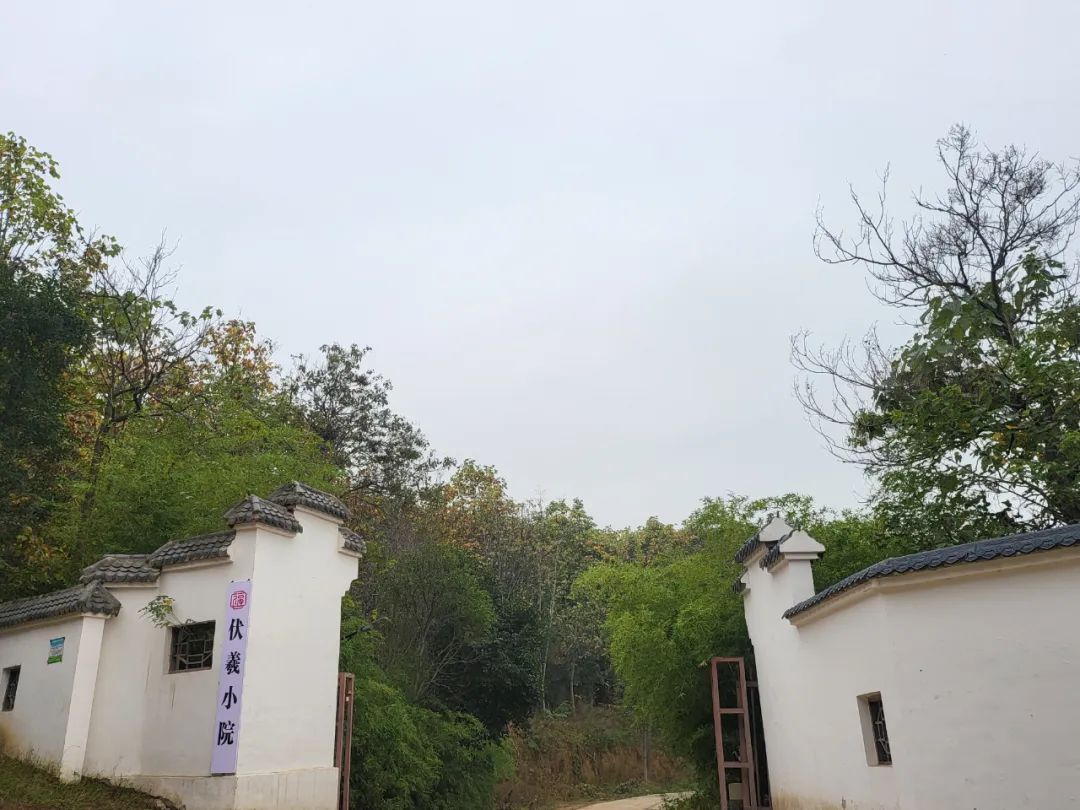圣水寺旁，城市之外▏新零售為會(huì)員打造“桃花源”——伏羲小院